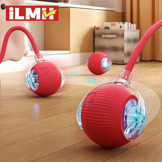 Cat Interactive Ball Toy, Automatic Rolling - ProPawPet.com