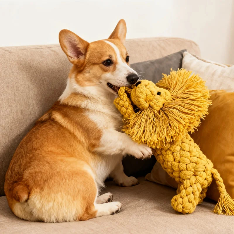Lion-Shaped Chew Rope Dog Toy - Single - ProPawPet.com