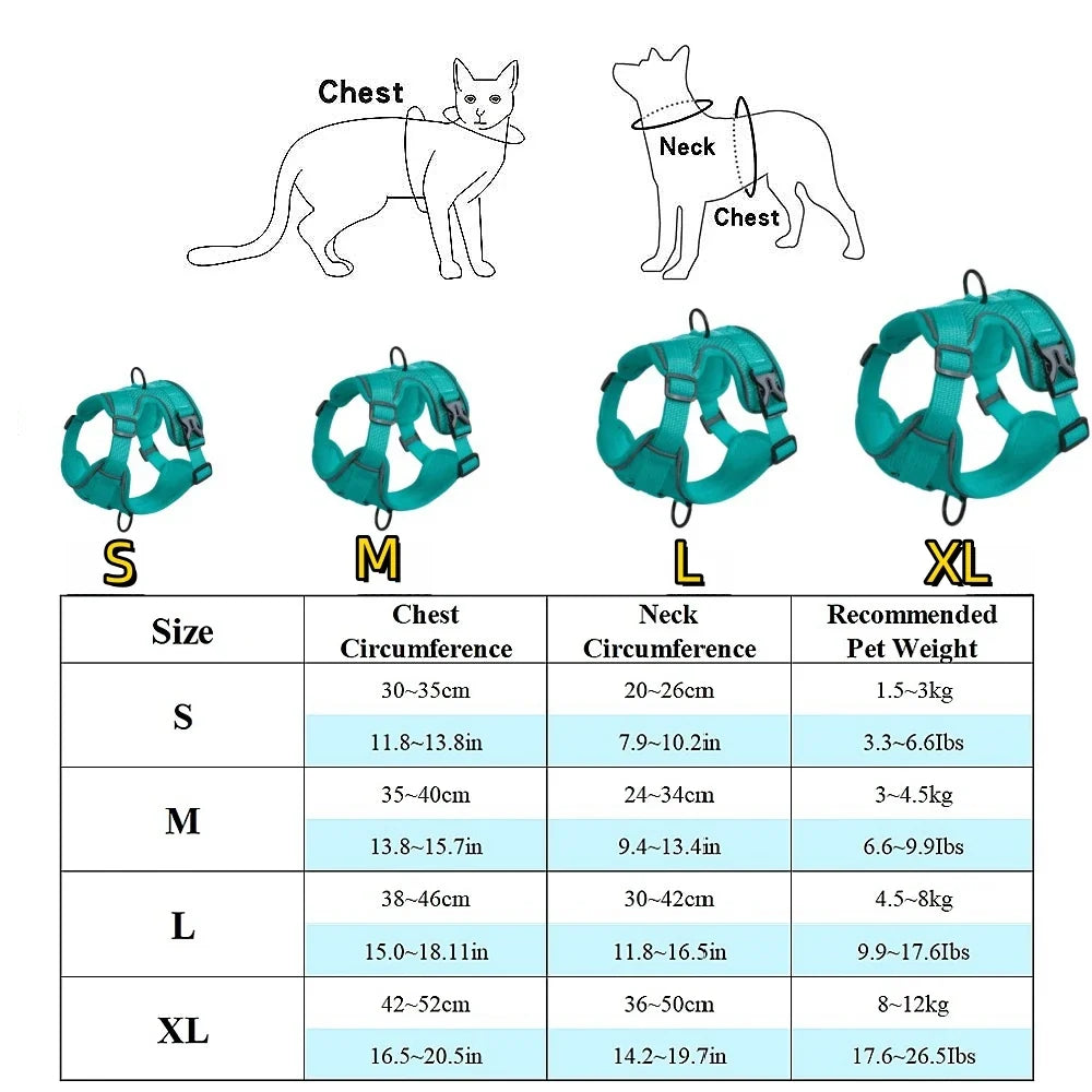 Harness and Leash Set Pet Accessories Dog - ProPawPet.com