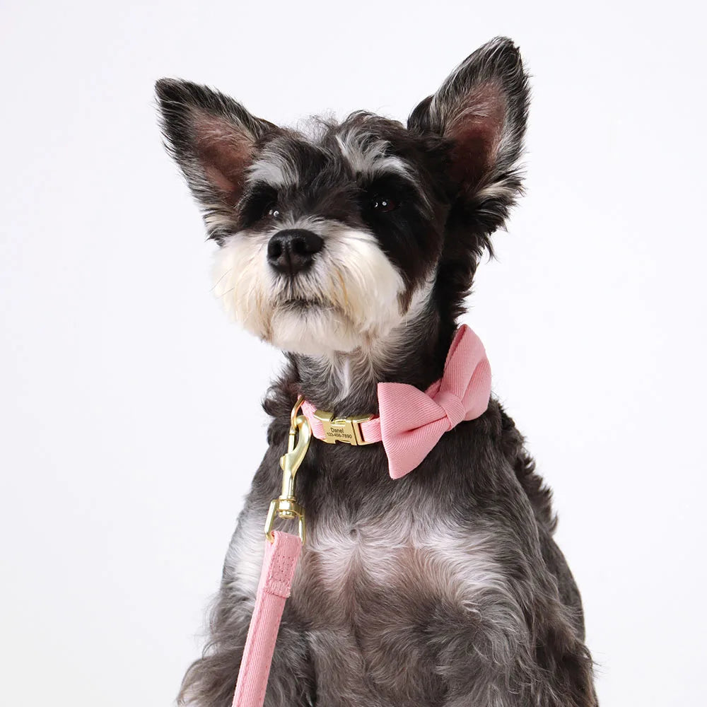 Personalized Dog Collar Cute Bowtie Dog - ProPawPet.com