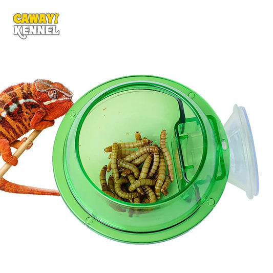 Arboreal Reptile Live Anti-escape Sucker - ProPawPet.com