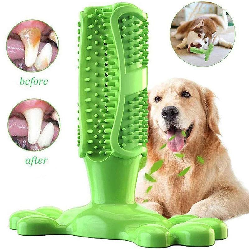 Pet Dog Cactus Interactive Rubber Bite - ProPawPet.com