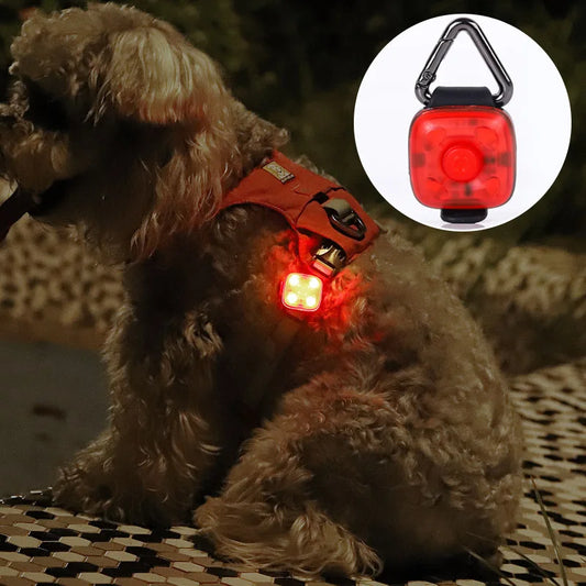 1pc Pet Luminous Pendant, Dog LED Walking - ProPawPet.com