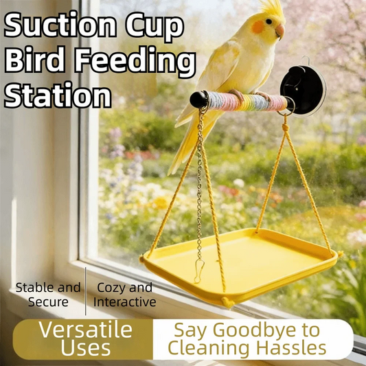 Colorful Bird Swing Hammock Interactive - ProPawPet.com