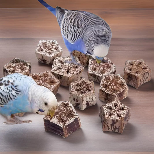 Natural Fruit Bird Chew Toy for Beak - ProPawPet.com