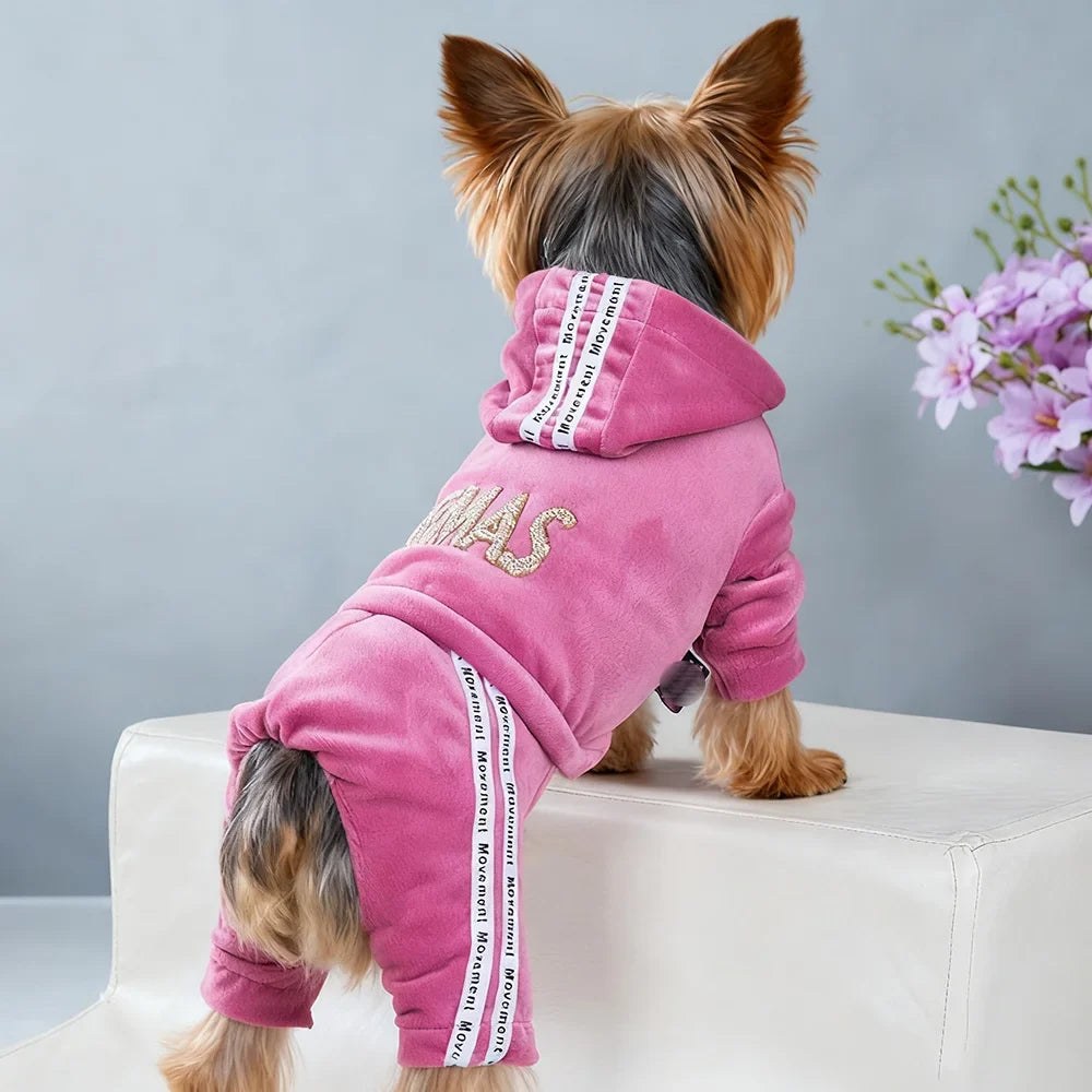 Girl Dog Clothes for Small Dogs Cute Outfits - ProPawPet.com