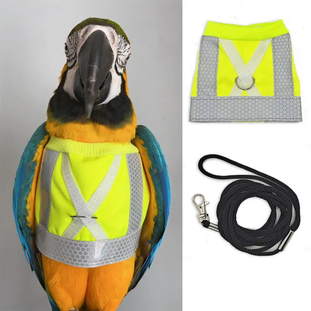 Bird Flight Harness Vest Parrot Suit Leash - ProPawPet.com