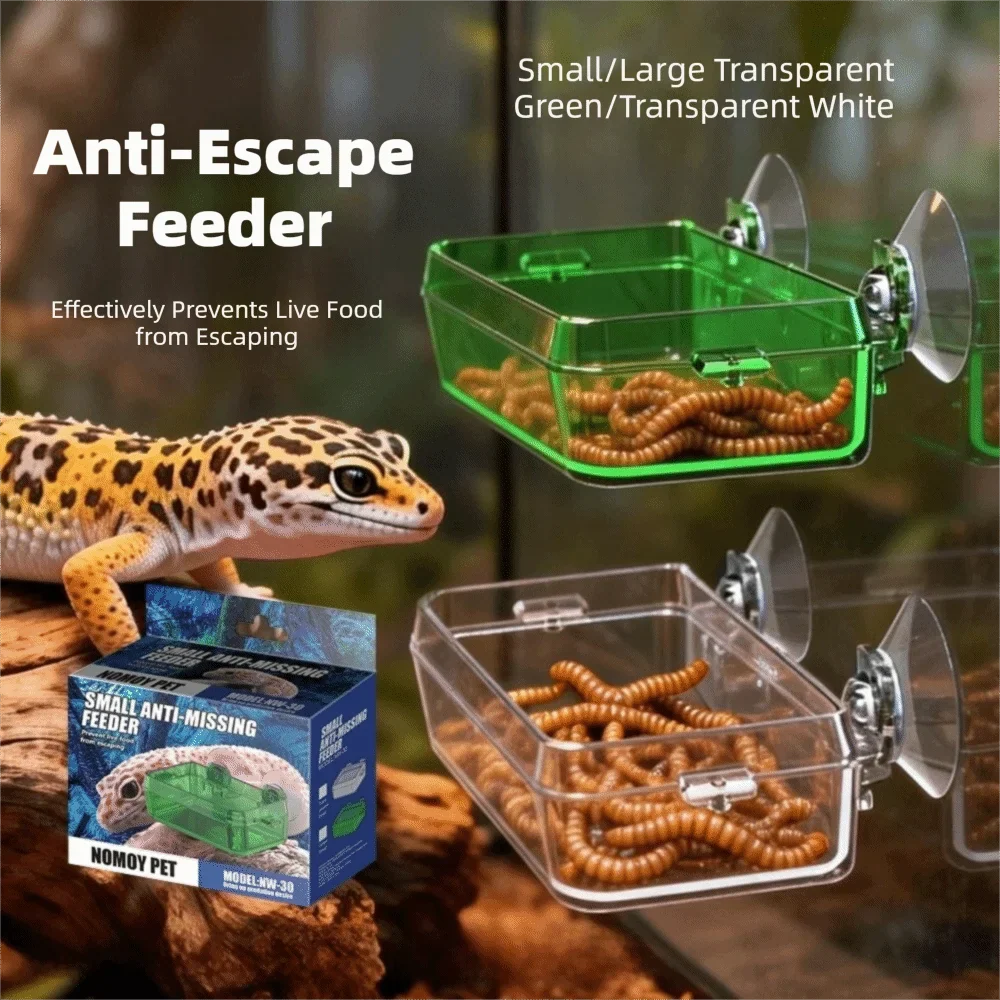 Anti-Escape Reptile Feeder Bowl Detachable - ProPawPet.com