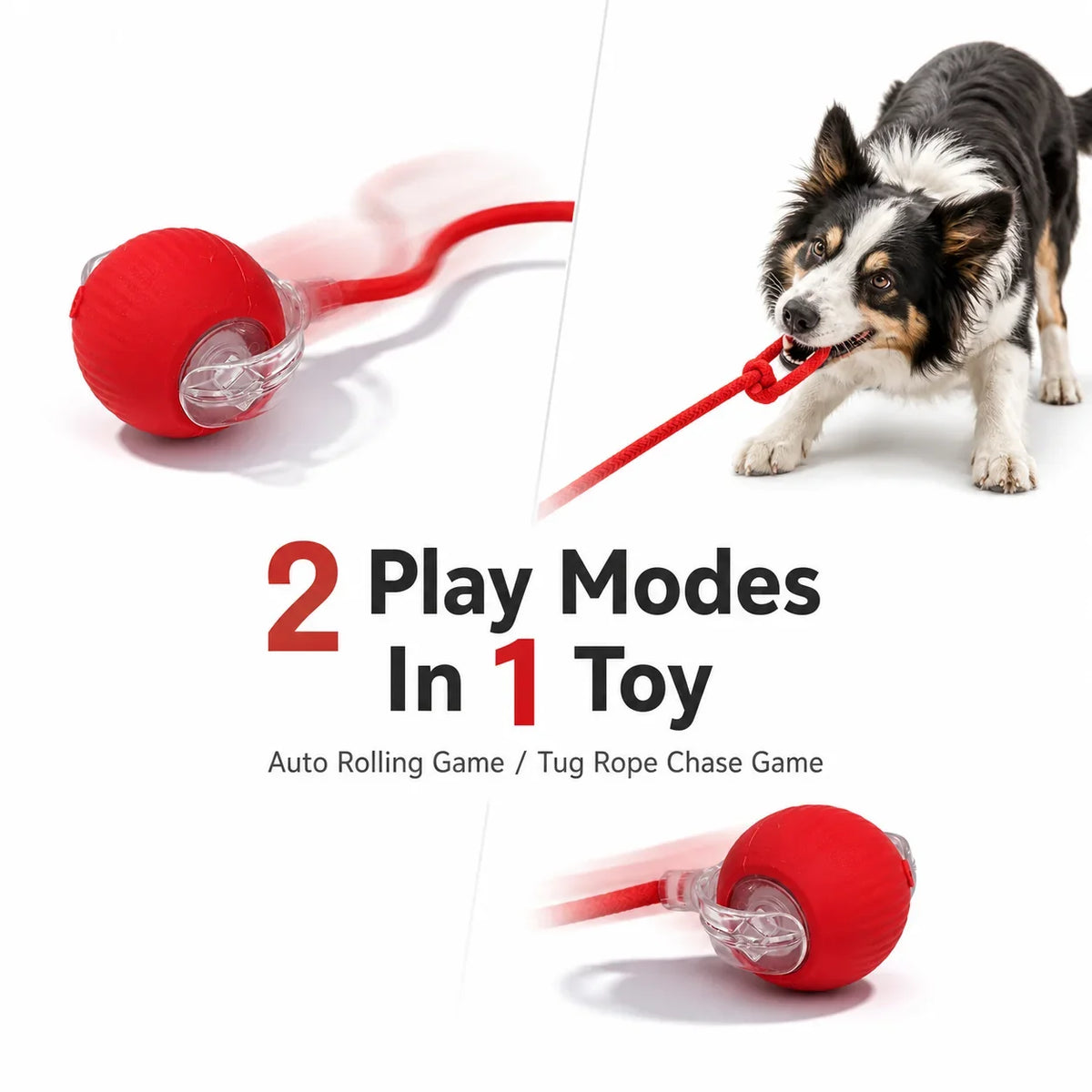USB Rechargeable Smart Cat Toy Ball - ProPawPet.com