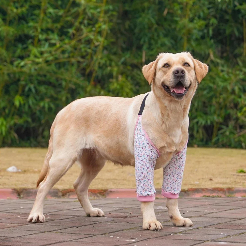 Cartoon Pet Recovery Sleeve Black/Grey - ProPawPet.com