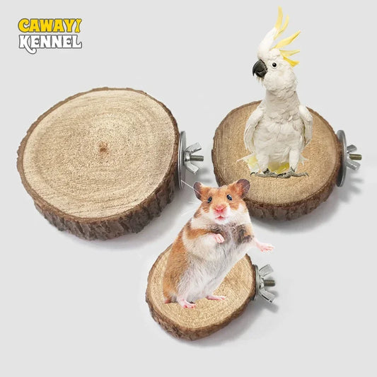 Parrot Hamster Round Stand Board Pet Bird - ProPawPet.com