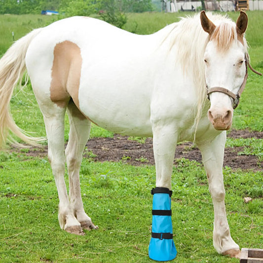 Hoof Soaking Boot Protective Comfortable - ProPawPet.com