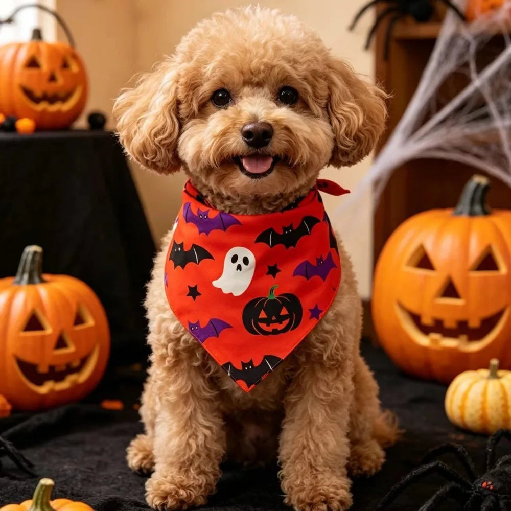 Soft Polyester Pet Halloween Bandana Pumpkin Ghost Print Spider Bat – 5 Colors