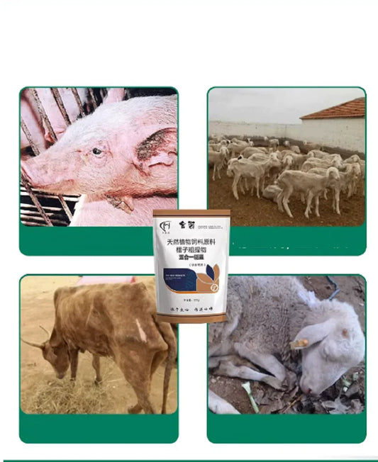 Poultry, Pigs, Cattle, Sheep and Dogs Veterinary Internal