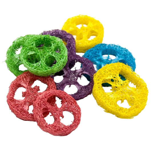 Natural Luffa Slices Bird Toy Decoration - ProPawPet.com