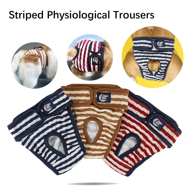 Pet Striped Physiological Trousers Anti - ProPawPet.com