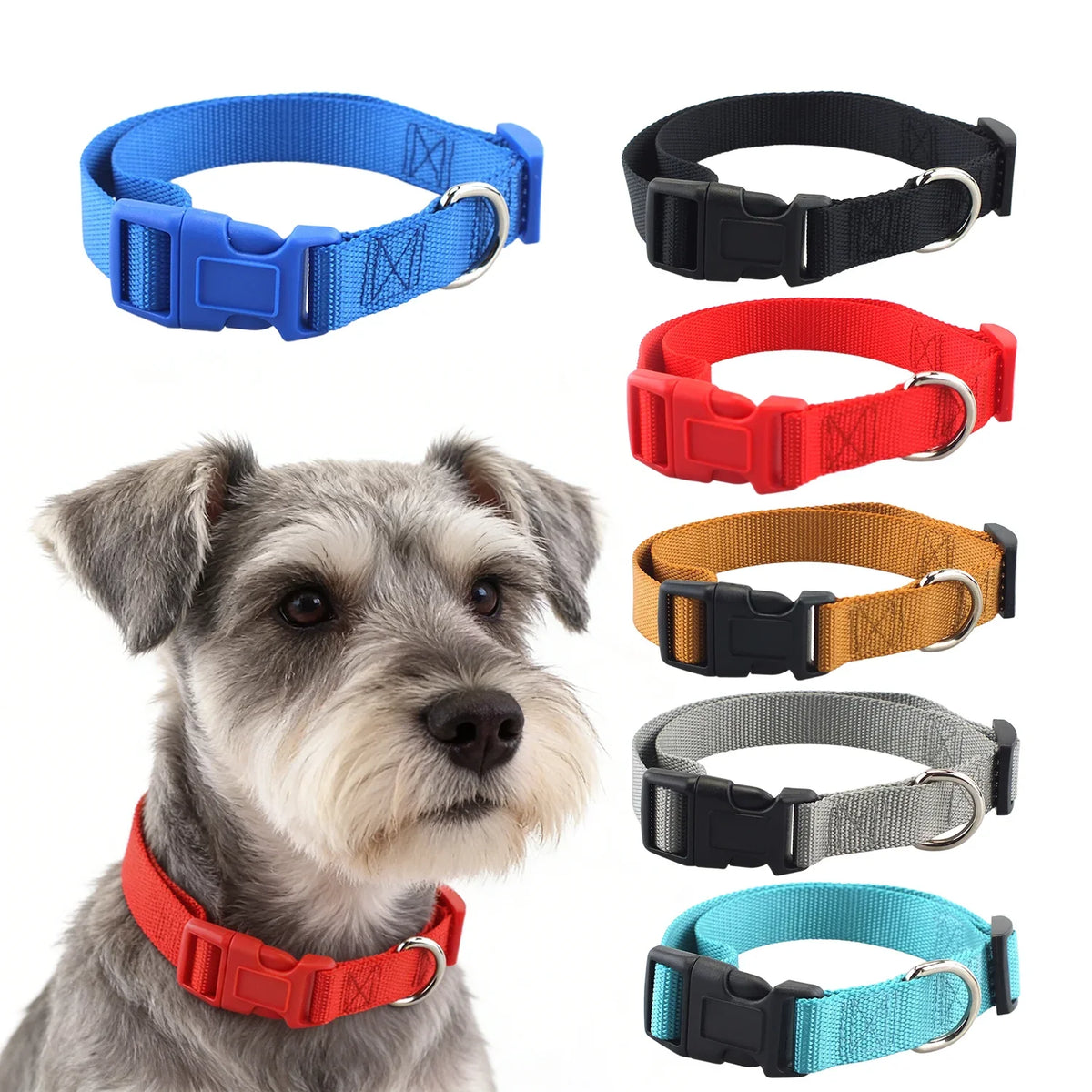 Adjustable Superior Nylon Dog Collar Heavy - ProPawPet.com