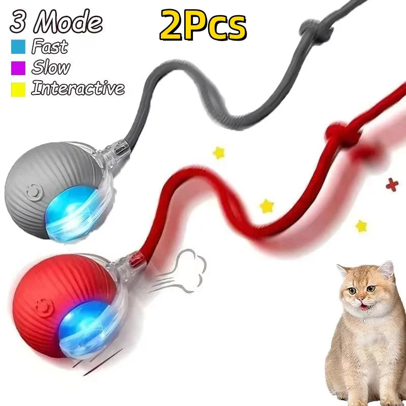 Rechargeable Dog & Cat Interactive Ball Toy