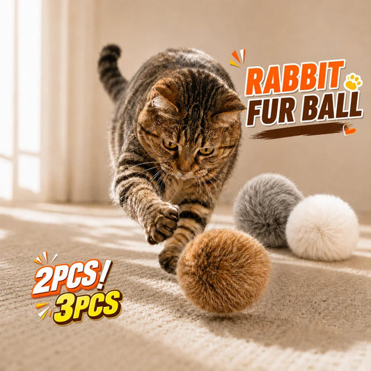 2/3pcs Natural Rabbit Fur Ball Cat Toy - ProPawPet.com