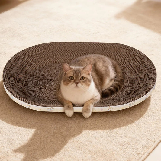 oval cat scratching bowl indoor cat - ProPawPet.com
