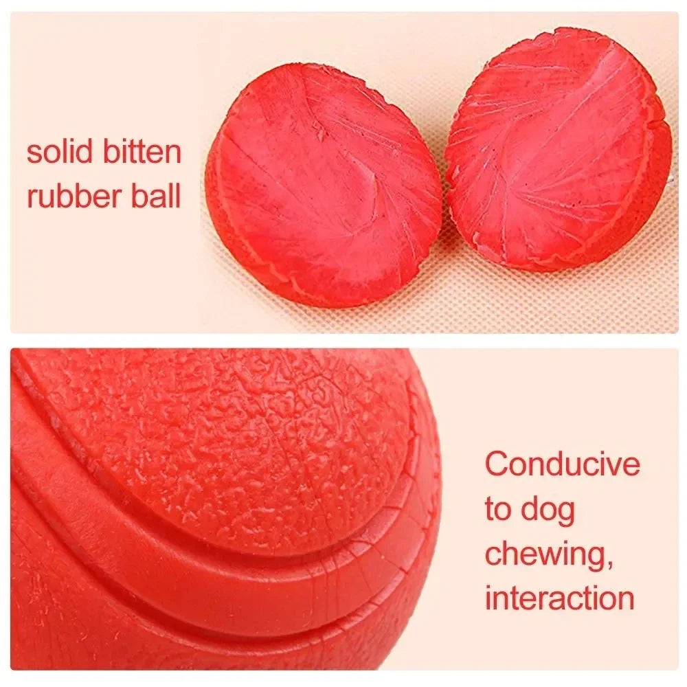 MADDEN S-XL Sizes Solid Rubber Balls Bouncy - ProPawPet.com