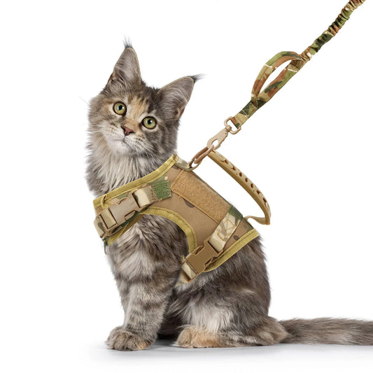 Tactical Cat Harness and Leash Set For - ProPawPet.com