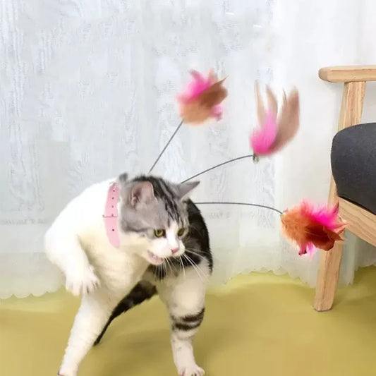 Interactive Cat Toys Funny Feather Teaser - ProPawPet.com
