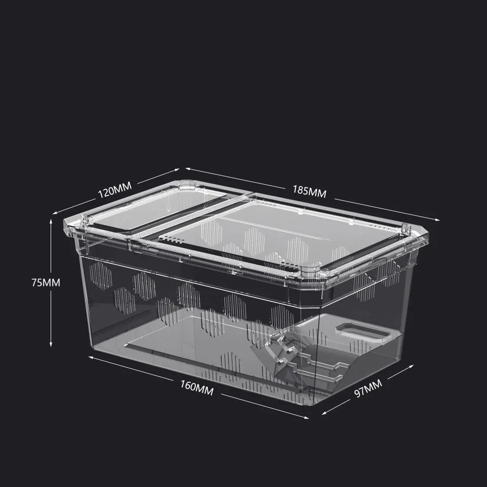 Transparent Reptile Tank Plastic Breathable - ProPawPet.com