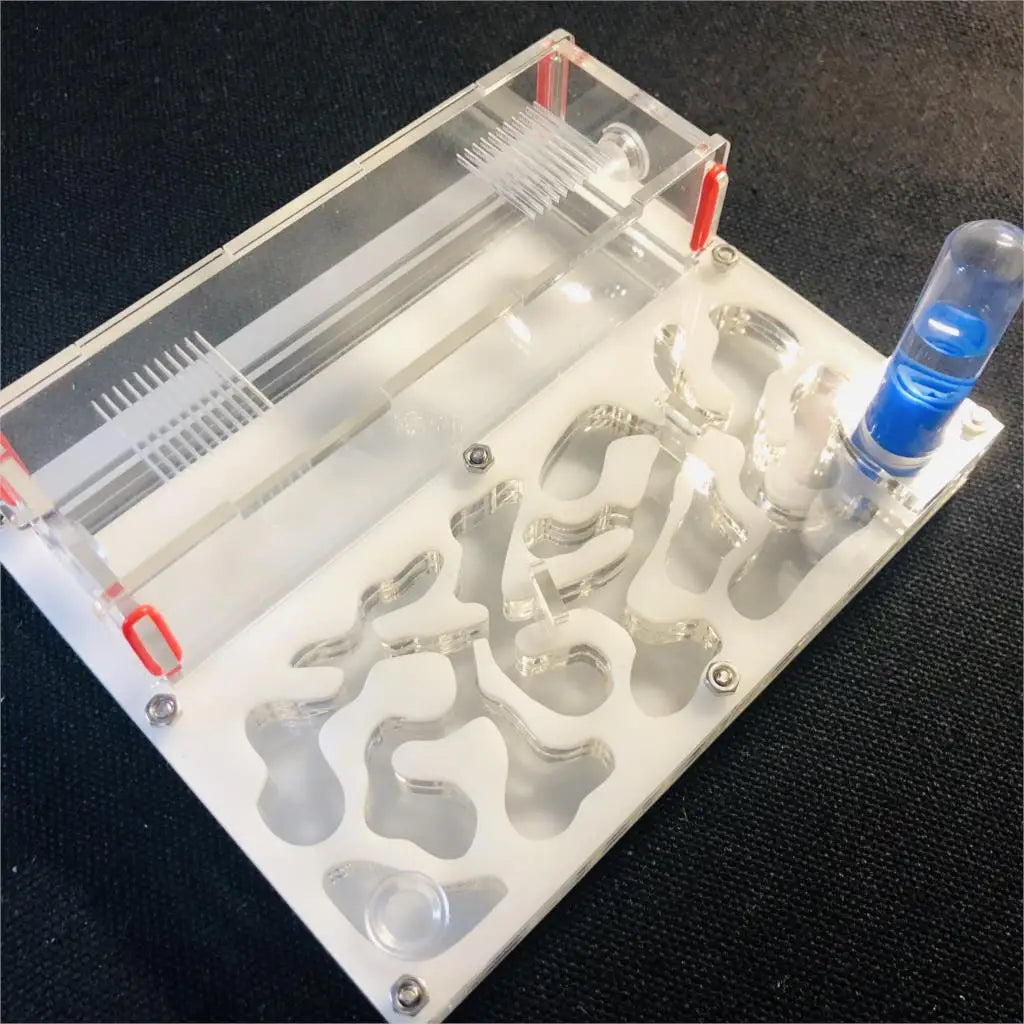 150mmx110mm test tube Moisture big space Ant - ProPawPet.com