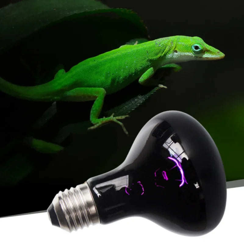 Reptile UVA Infrared Moonlight Heat Lamp - ProPawPet.com