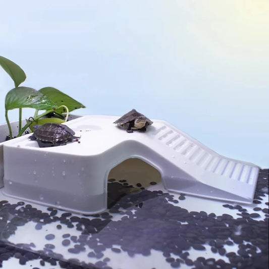 1PC Plastic Turtle Climbing Ramp with - ProPawPet.com
