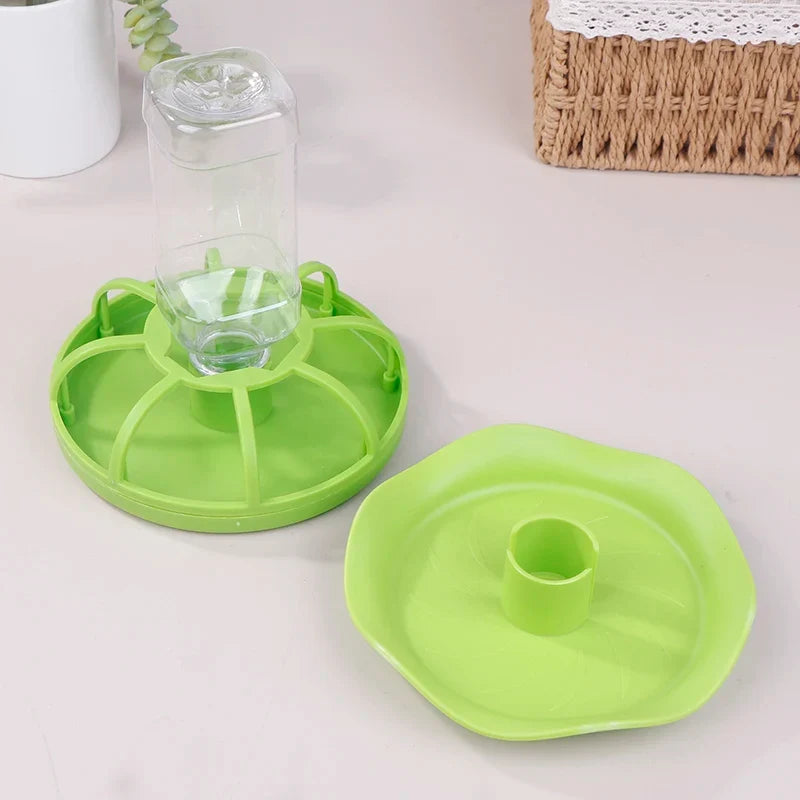 Reptile Feeders Reptile Water Drinker - ProPawPet.com