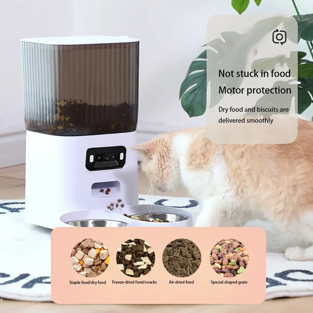 5L Double Bowls Smart Automatic Cat Feeder - ProPawPet.com