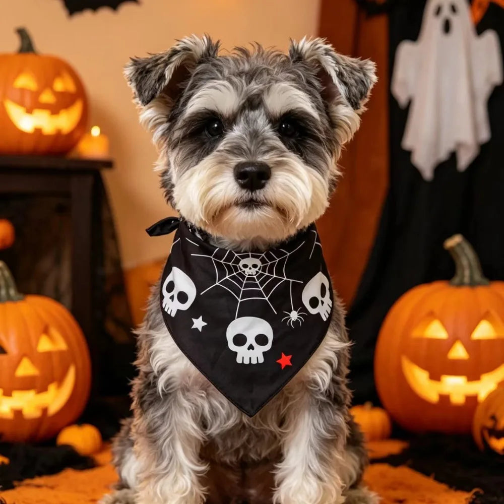 Soft Polyester Pet Halloween Bandana Pumpkin Ghost Print Spider Bat – 5 Colors