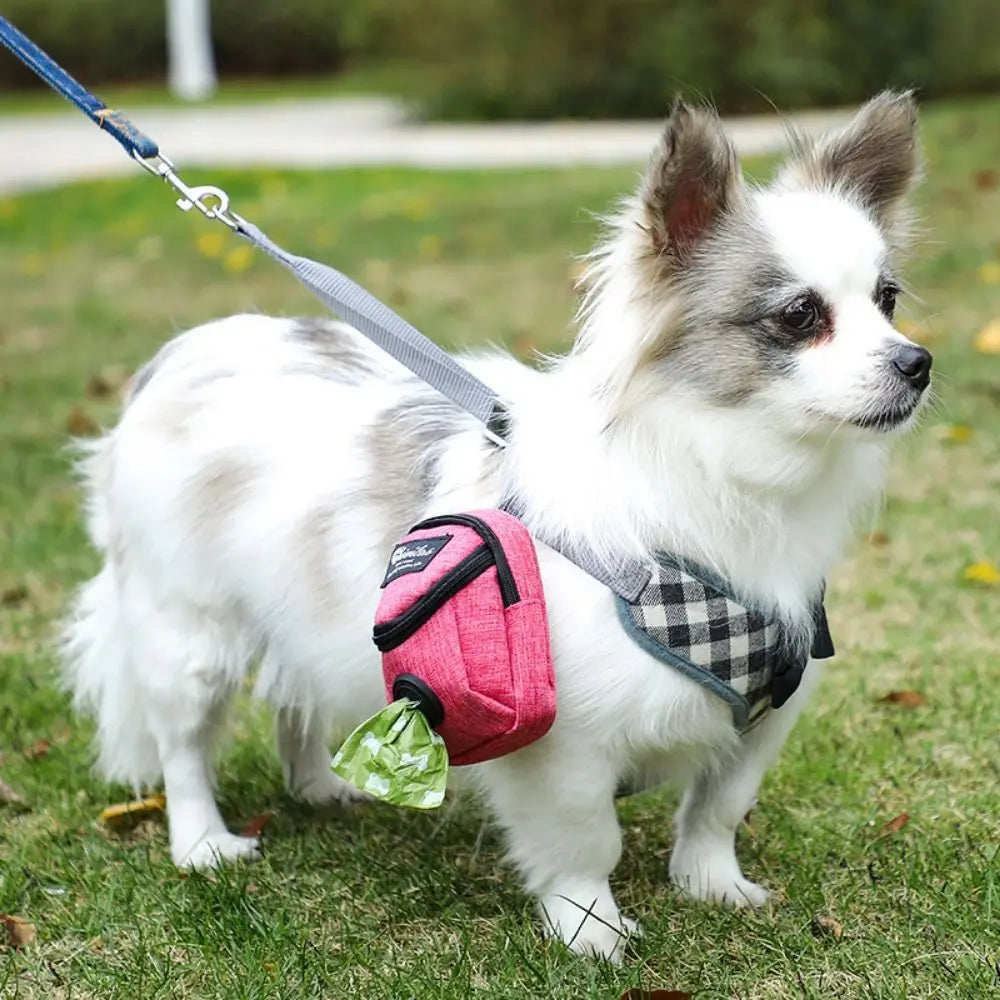 Portable Dog Training Treat Bag Outdoor Pet - ProPawPet.com