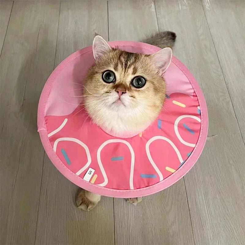 Pet Anti-Bite Lick Surgery Wound Healing Cat - ProPawPet.com