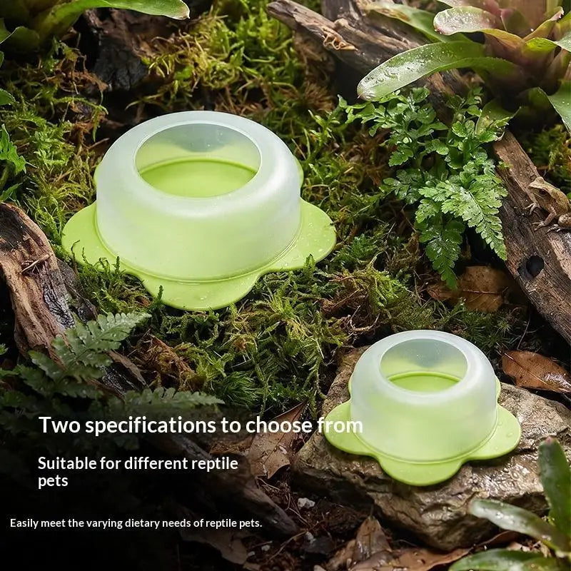 Œ1Pc ABS Reptile Feeding Dish Anti Escape - ProPawPet.com