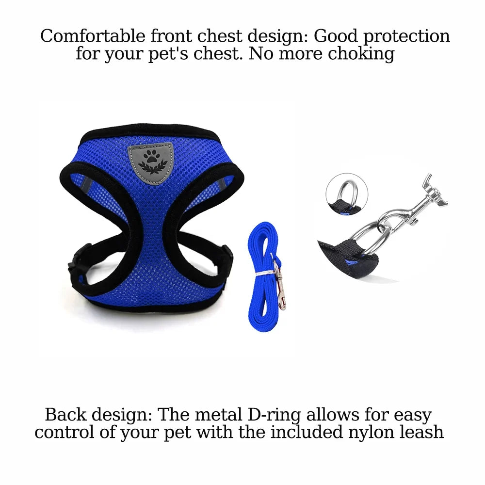 Safe Premium Adjustable Cat Harness and - ProPawPet.com