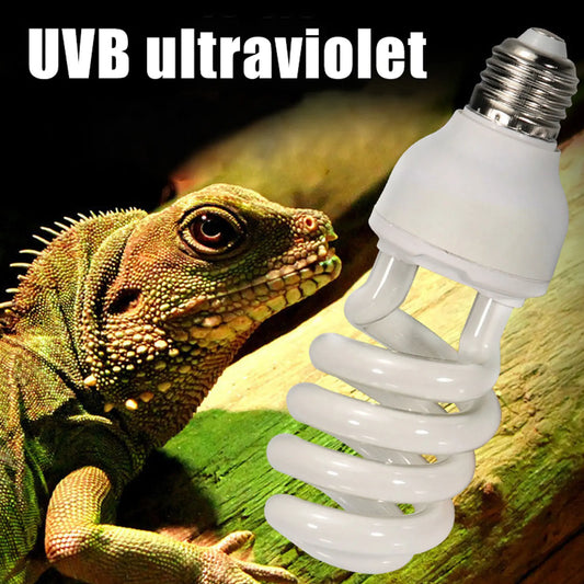 Reptile Heat Bulb Lamp Light High Intensity - ProPawPet.com