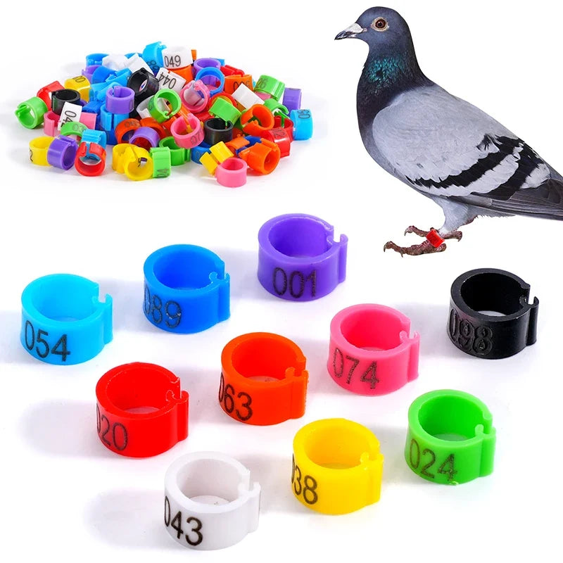 100Pcs Pigeon Foot Ring Feeding Supplies - ProPawPet.com