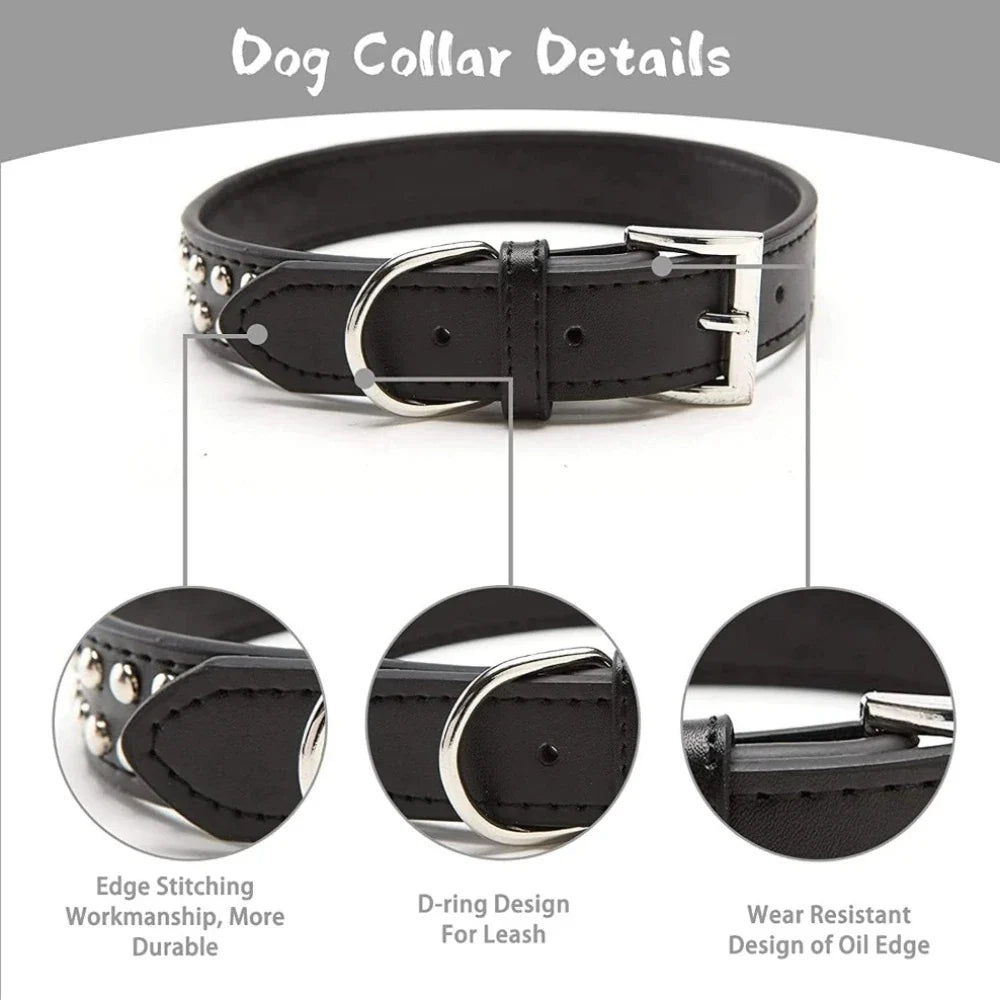 Adjustable Faux Leather Dog Collar, Studded - ProPawPet.com