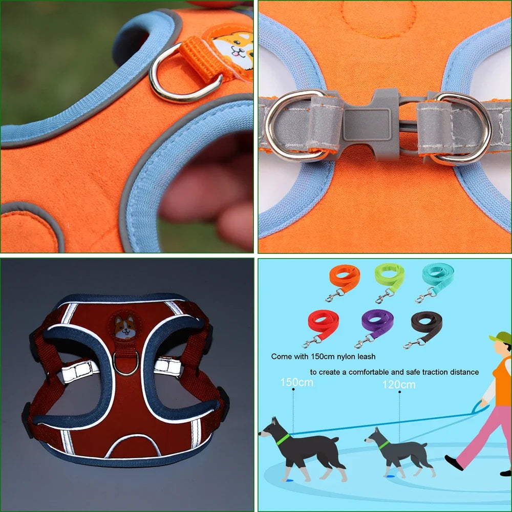 Cat Harness Small Dog Leash Pomeranian Puppy - ProPawPet.com