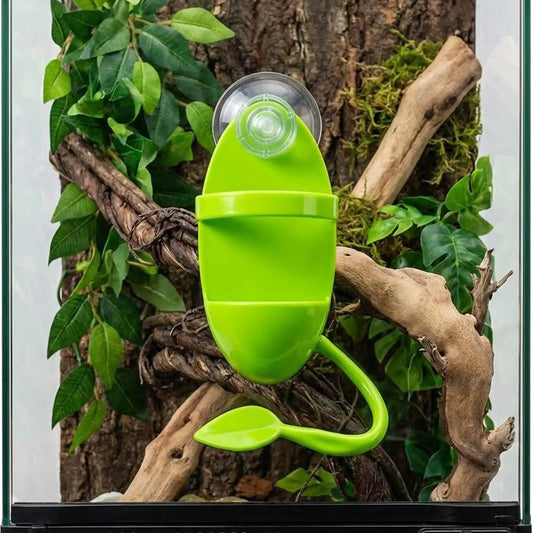 Suction Mount Lizard Feeder Bowl Anti Escape - ProPawPet.com