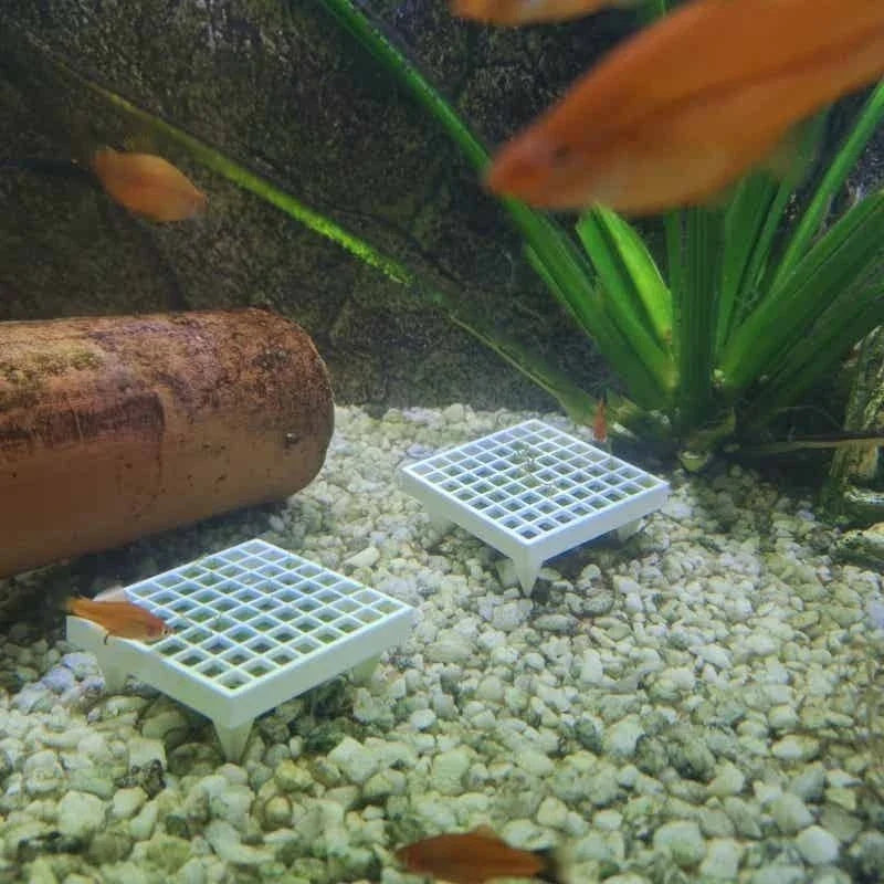 Aquarium Moss Holder with Stand for Live - ProPawPet.com