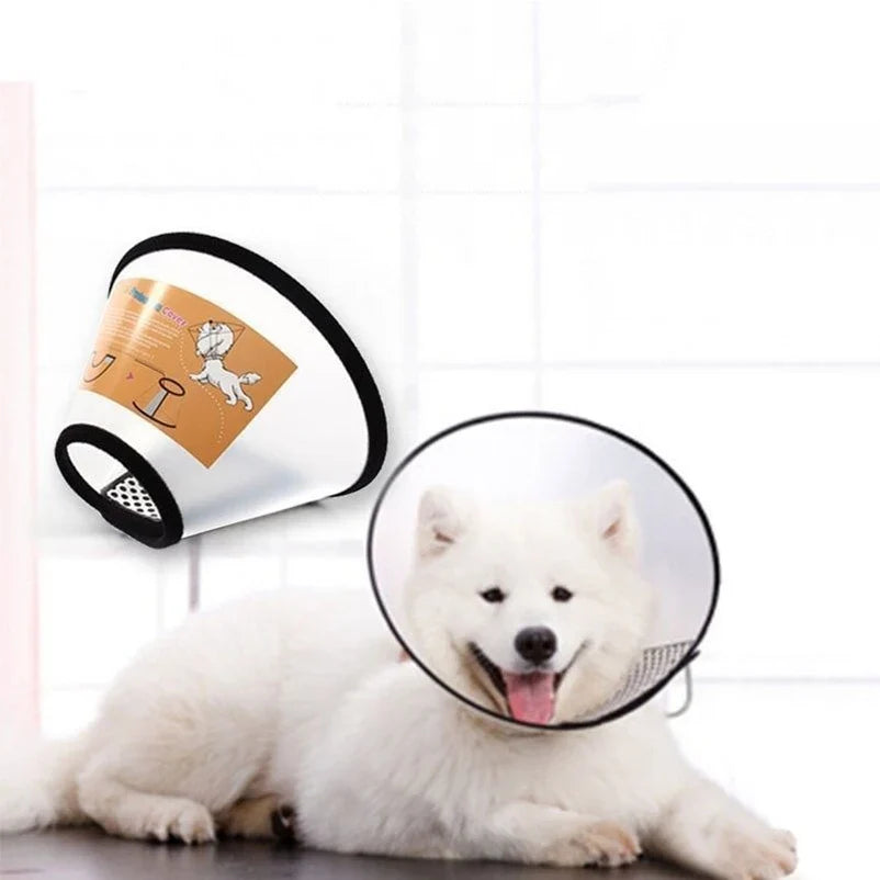 Prevent BiteTransparent Dog Cat Protection - ProPawPet.com
