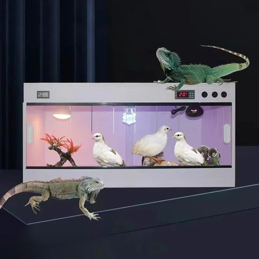 Thermostatic Rutin Chicken Feeding Box - ProPawPet.com