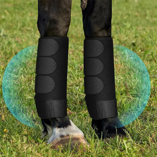 2PCS Horse Legging Boots Anti-Collision - ProPawPet.com
