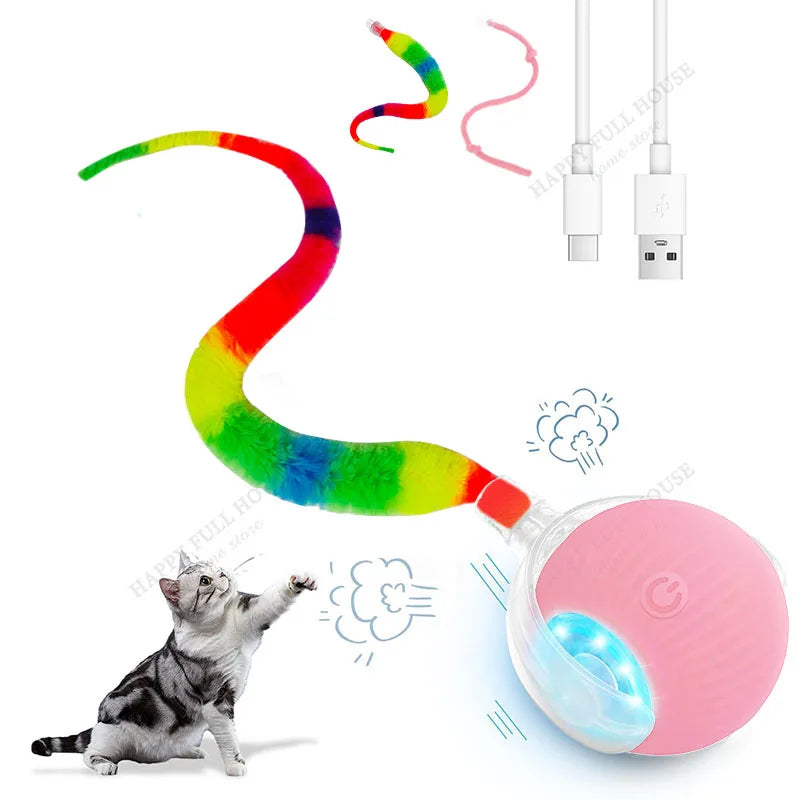 2 in 1 Cat Toy Interactive Ball – Cat Supplies
