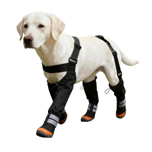 Non-Slip Dog Suspender Boots Waterproof - ProPawPet.com