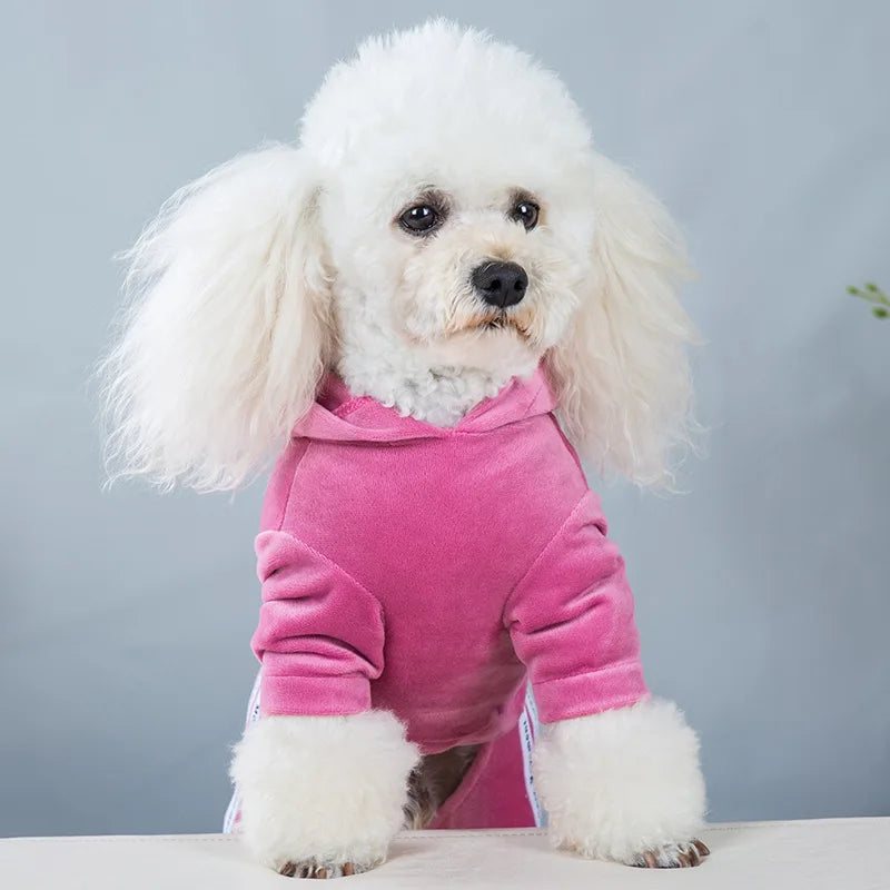 Girl Dog Clothes for Small Dogs Cute Outfits - ProPawPet.com
